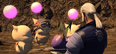 ff14 kupo nuts.